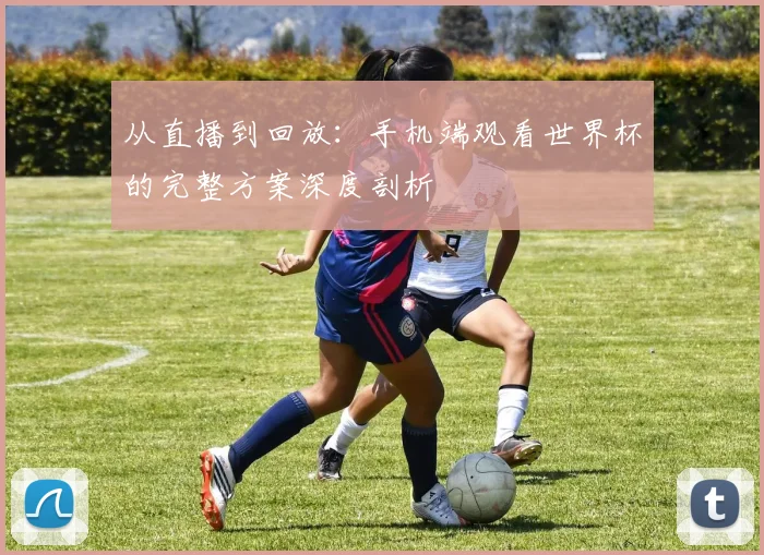 从直播到回放：手机端观看世界杯的完整方案深度剖析