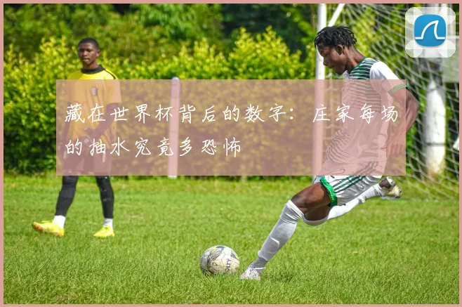 藏在世界杯背后的数字：庄家每场的抽水究竟多恐怖